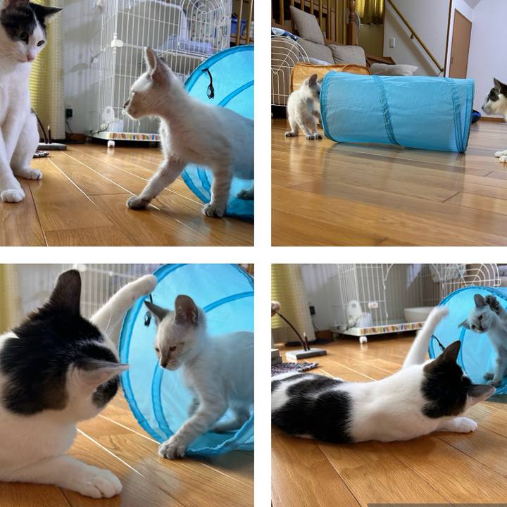 Ead397e8 33ba 47e5 a8af 0f05c3205de1 1721823456646