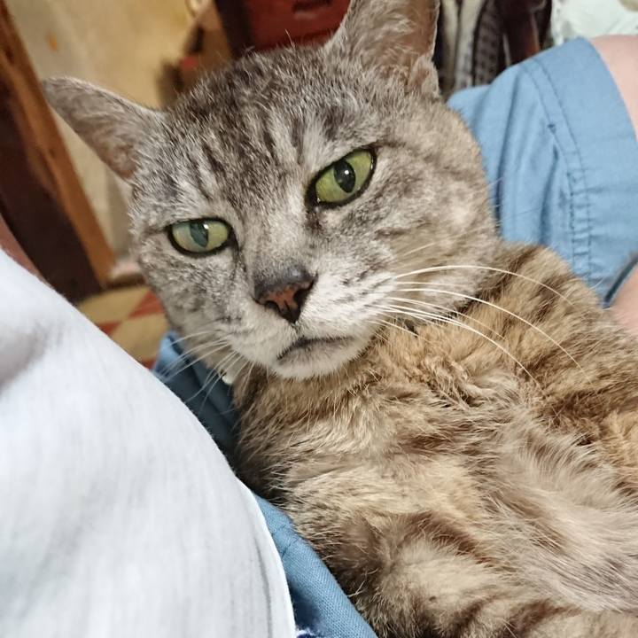 Ead3d665 6de5 48f9 ab38 585537391444 1564056141771