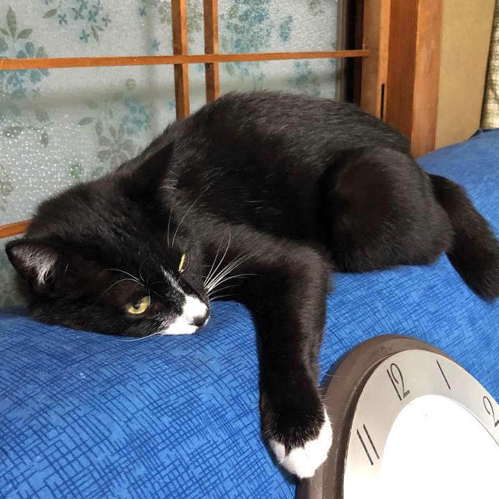 Ead3e2fa 81f4 4dac aec5 21d1460f294a 1623123807655