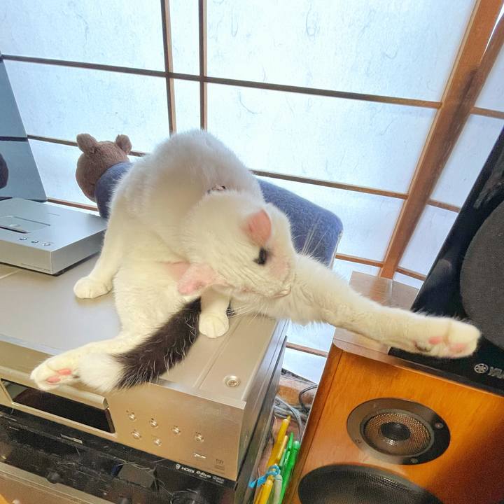 Ead40f64 9578 4917 8419 634ae8680402 1755557659911