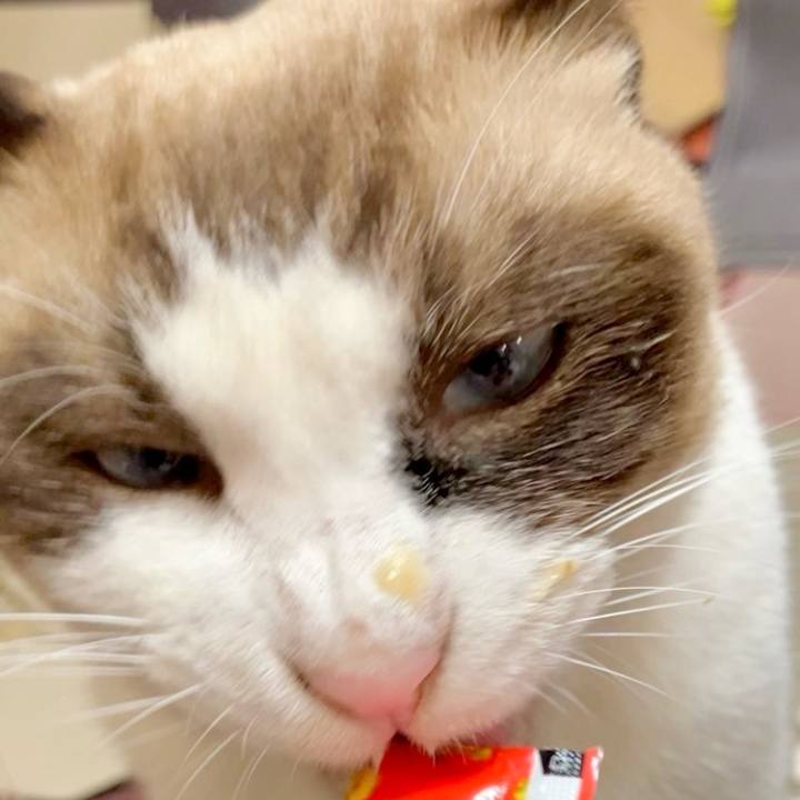 Ead42886 b72c 4e15 8909 62f6ac23624a 1730785578652