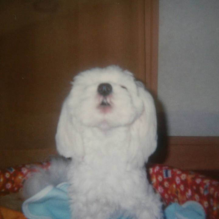 Ead43190 9a6a 4c99 b230 3ebaa3674073 1512430987588