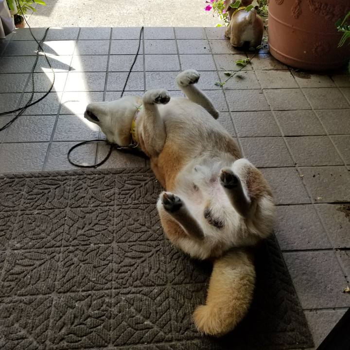 Ead498e3 f234 4627 8b78 3230ab8ce709 1690952799816