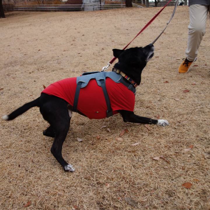 Ead4a65d b7f3 4e46 8cf5 330ea05ac5bb 1736129986597