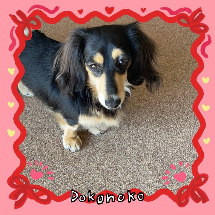 Ead4ac88 b870 4d7d 879c a076ab3b733b 1706763321587