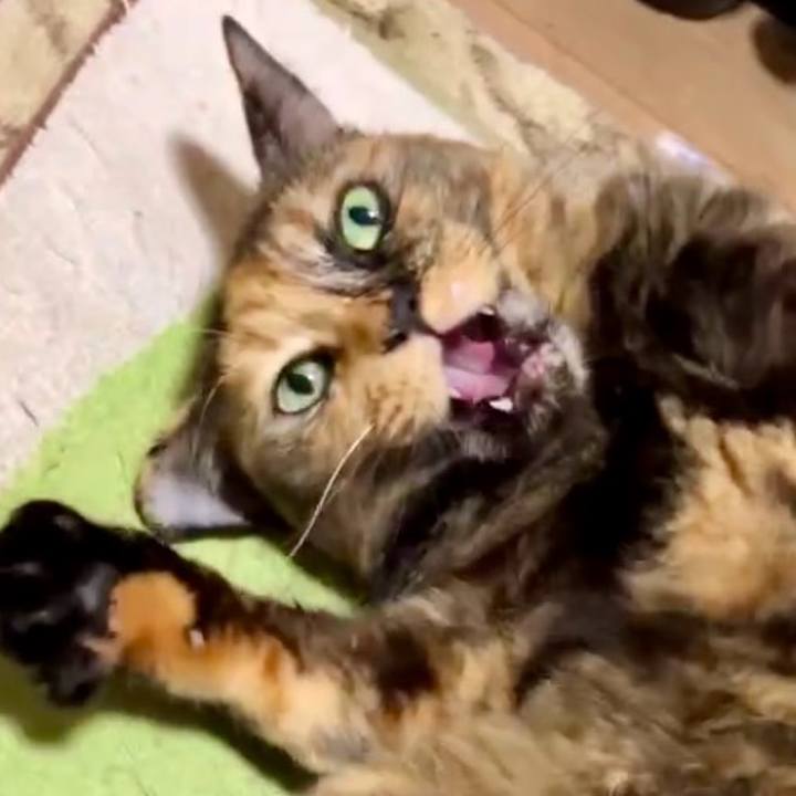 Ead4d873 5c95 431f 9e41 6f5b6b4d48f2 1730577623903