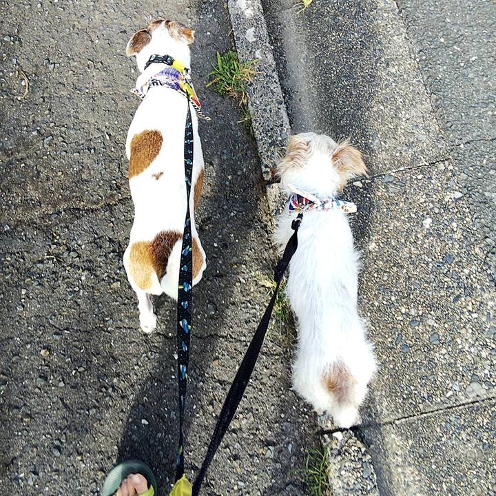 Ead4e7d9 6ed0 4452 8798 f9ce52d5ce2c 1565567841899