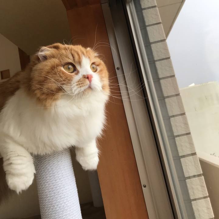 Ead4ec13 3536 405f bcfb 7dc87f98e41e 1548745208005