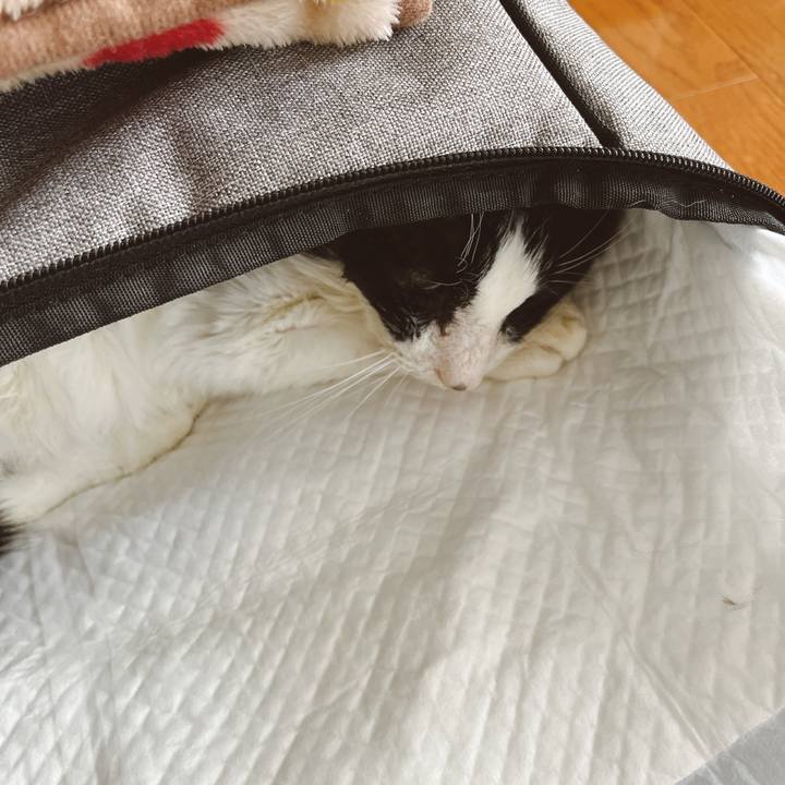 Ead4ed7a 2069 41cf a007 958f22320df6 1692163049852