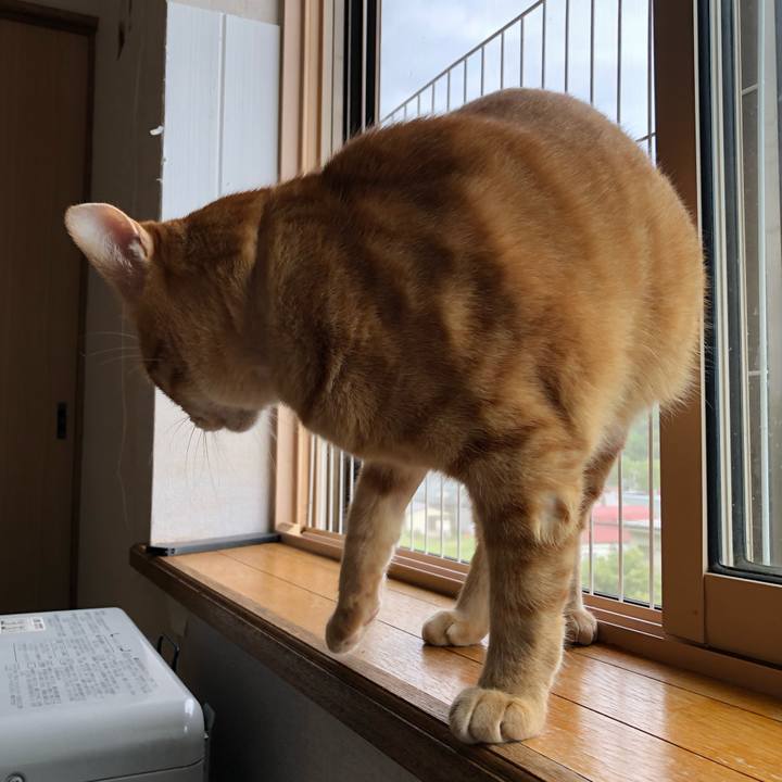 Ead4f7fb 4029 4edd a295 176a58751575 1563057596835