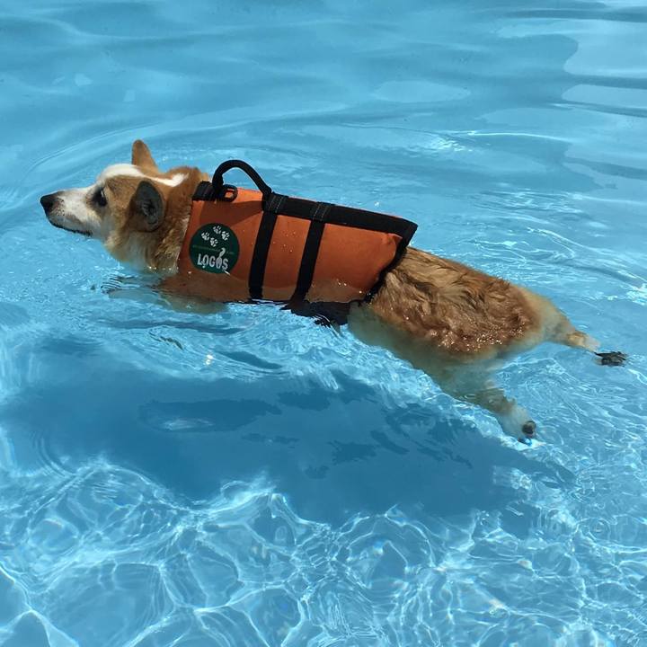 Ead4f9f5 5738 4574 b77f 5b4be05a6a29 1748838102518