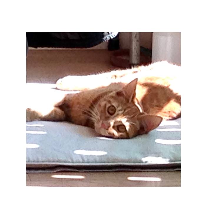 Ead54624 d6e0 4fc3 85c6 f919edf50bba 1616307747215