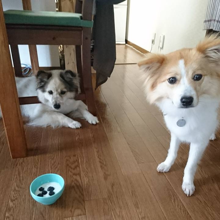 Ead59626 d653 4324 bede aa9a745a053b 1529231485923