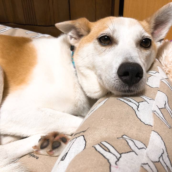 Ead5b59c 4bee 48b6 82f5 f6f0a5bbcf17 1592652474773