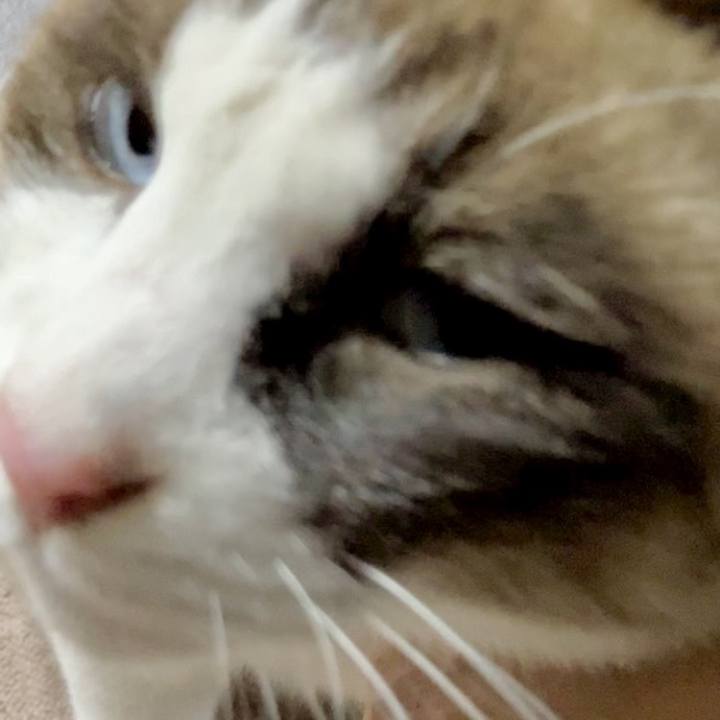 Ead5ec38 712d 4f1c ae48 67581d5e94ad 1732937507674