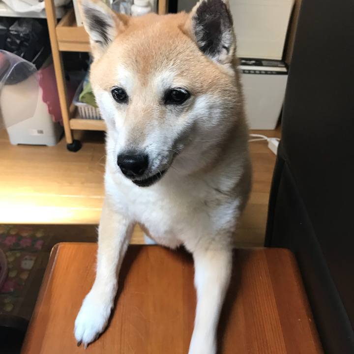 Ead60d22 b679 4629 9c02 e3dd80f1bf08 1524914966306