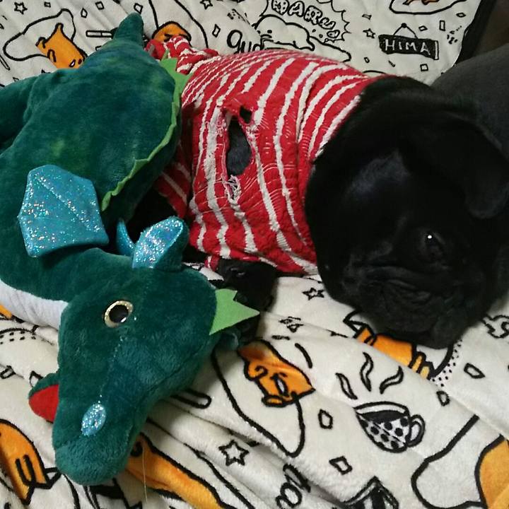 Ead61e69 91c5 401d 90aa 6b0f55914c14 1541602716798