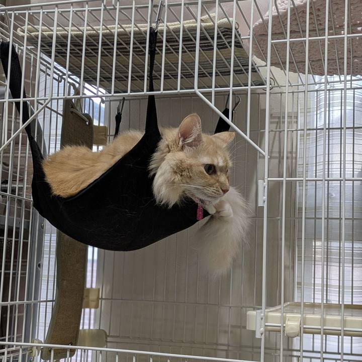 Ead63d86 b306 4263 9839 2b4edc4c5916 1759843445016