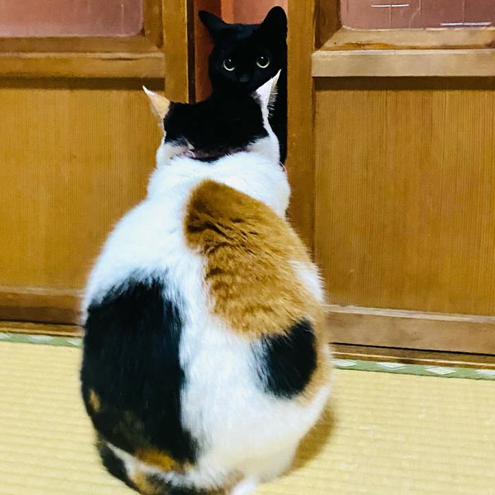 Ead6645b 539c 4452 9d51 25f981e8b9c7 1715354073840