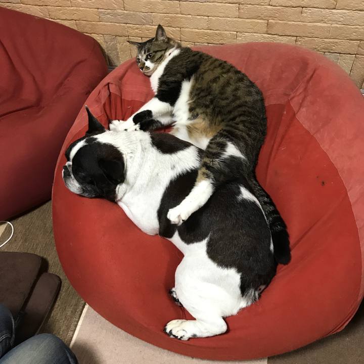 Ead674ce f8f8 4751 8312 4f6c6fdf7f54 1509274981403