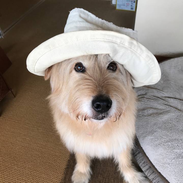 Ead6a59b 8803 4db9 8e07 0be151443376 1620521460489