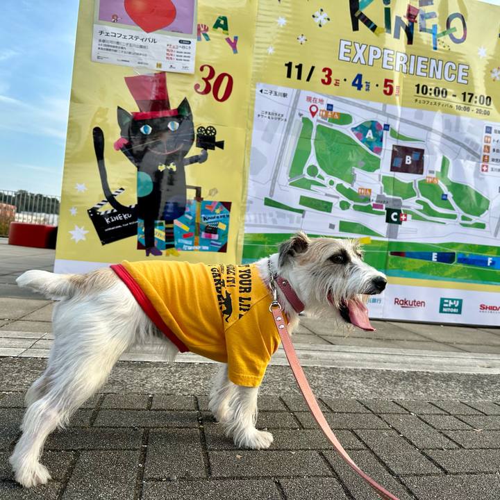 Ead6aa1c 06f9 4283 9ce9 0853754f19a1 1699101392798