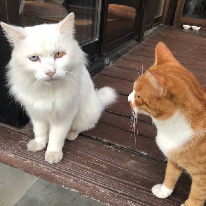 Ead6b244 1476 49f6 b9b3 129b560c3894 1633662748167