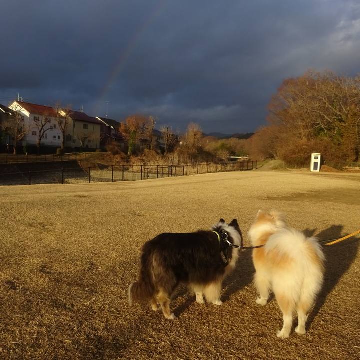 Ead6bdb9 ecfe 4dfc bcd6 8162fa968539 1614687253400