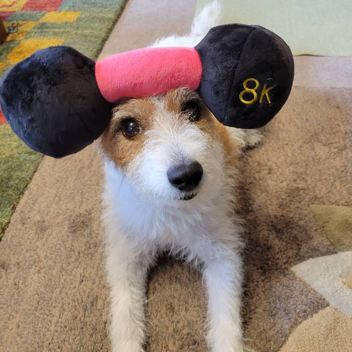 Ead6c3c0 c3ab 4b25 a9e7 08bceb353711 1693877051309