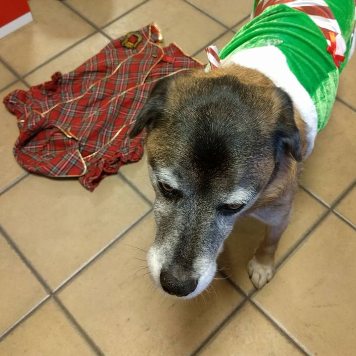 Ead6da99 0d3c 4687 9773 784934ff1c77 1513323619469