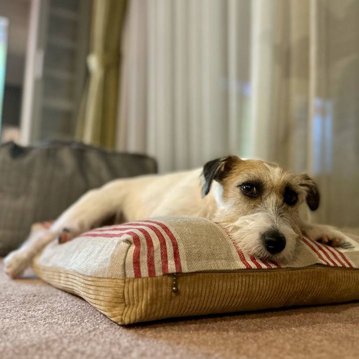 Ead70b0a 00bf 47c4 a401 1bd2d3e8c074 1692705590083