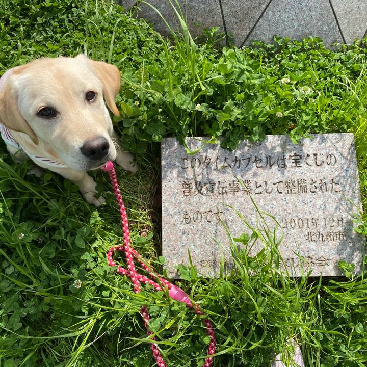 Ead74a53 cea0 4d46 9369 3589314ead2a 1618099675810