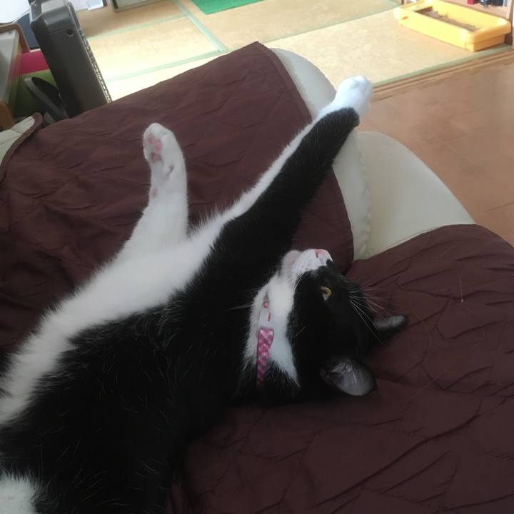 Ead78f6a 6295 4b30 bc10 f297dbfa3680 1542857052681