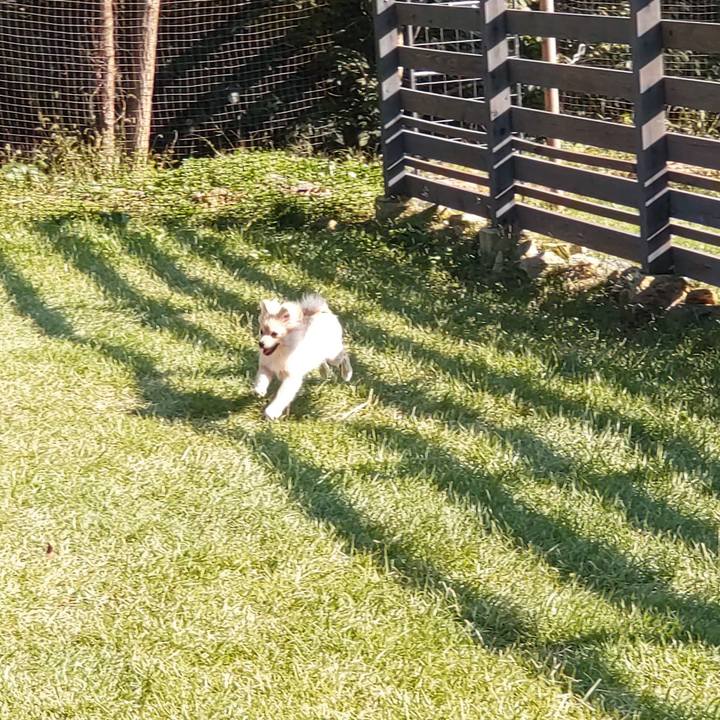 Ead7ab1f 05ab 456e a898 f43b66b451ae 1728712689791