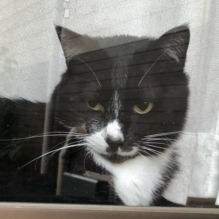 Ead7b5e1 b6d1 4bc6 8e8e 14c8353f92b5 1659671301730