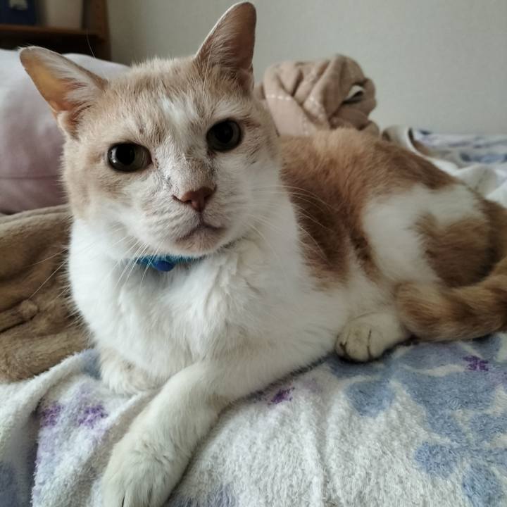 Ead7ea5f d1dd 4de4 82a4 f753586f142b 1664317191946