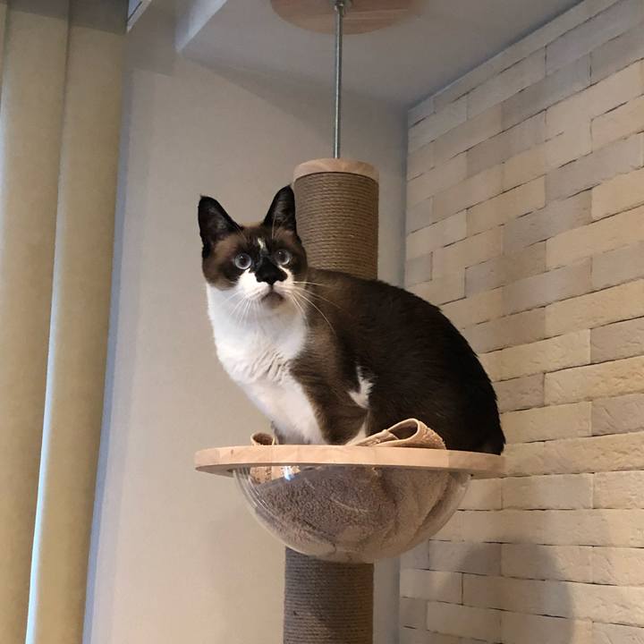 Ead7eed2 1874 4615 aa02 140c5b6759b5 1632942499830