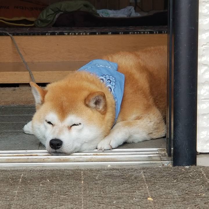 Ead7fc1c 64cd 4278 a85b d6f3c37c7b8a 1560652350739