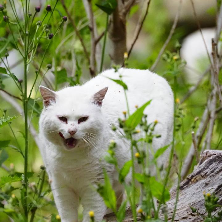 Ead8083a 6fc1 492f 8580 0bb243cfe89b 1621341659917