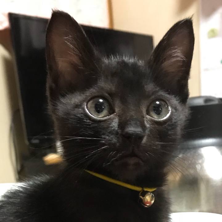 Ead80927 ee3c 4c9b a27d 93a0e84038df 1513046501979