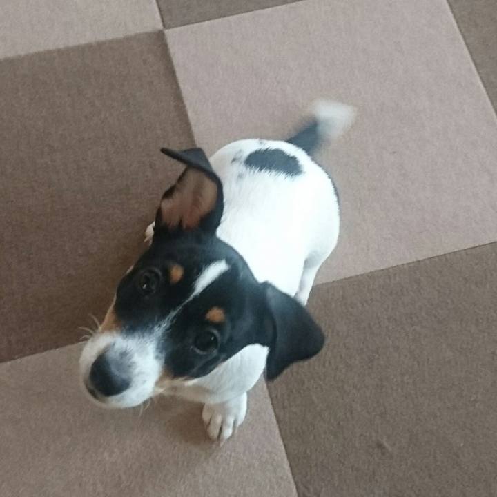 Ead8881e d42c 4876 ac36 a82fa426421f 1511958958380