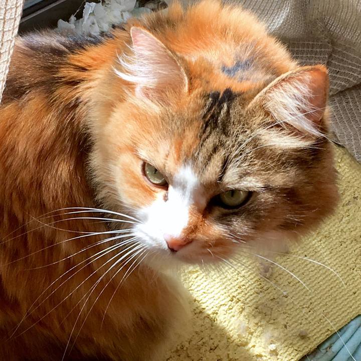 Ead8a253 43a0 4b64 a99c eea481e3023b 1570693462283