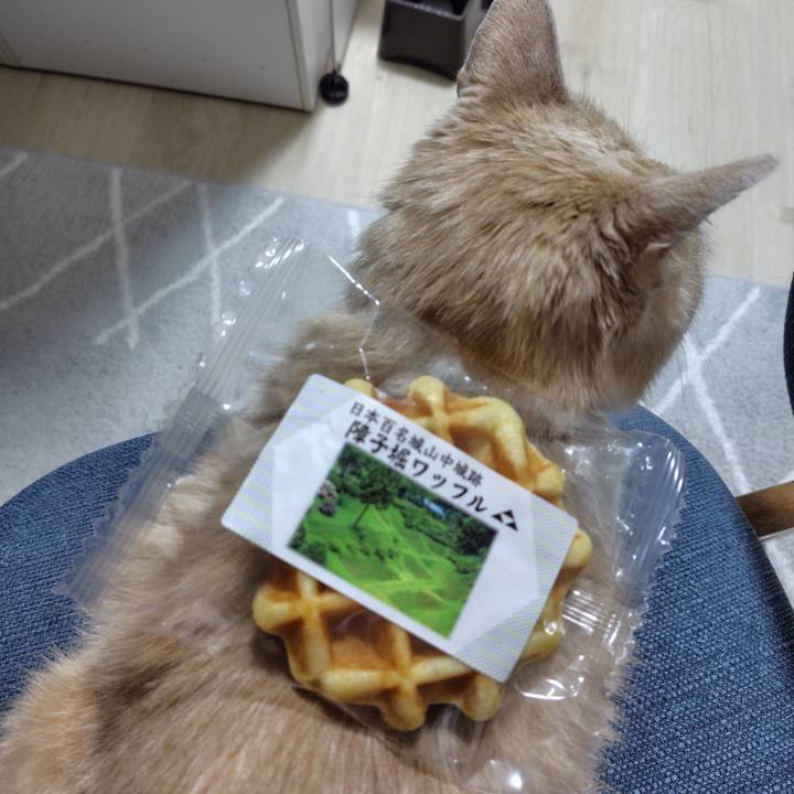 Ead92391 da7d 4fe9 a2bc 0e0f292db597 1717506317113