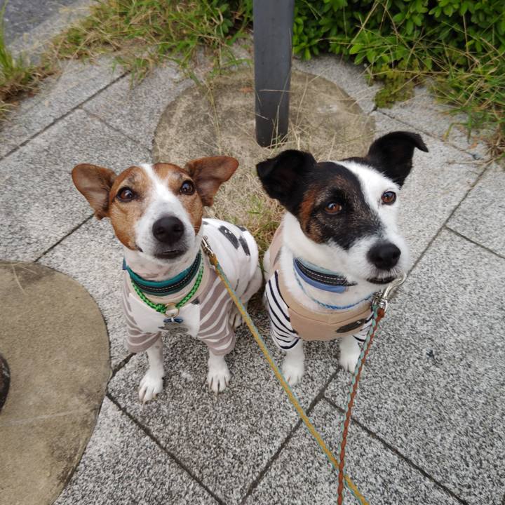 Ead94839 c439 4e43 9419 a213ca335498 1729115041396