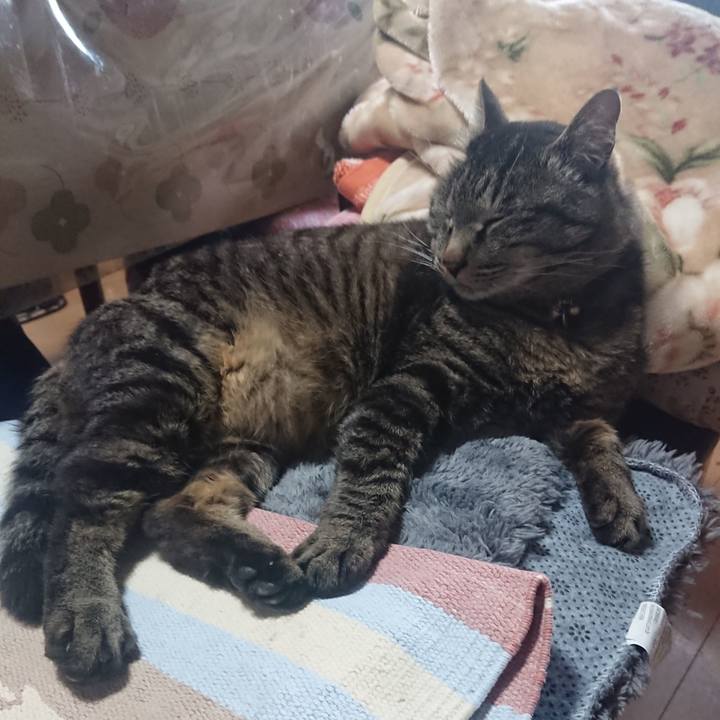 Ead95342 972e 4c73 8282 6029e9b70ee9 1651323247161