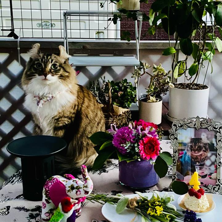 Ead96038 aff2 49d0 acaf 7a71f1d1d81a 1604901643572