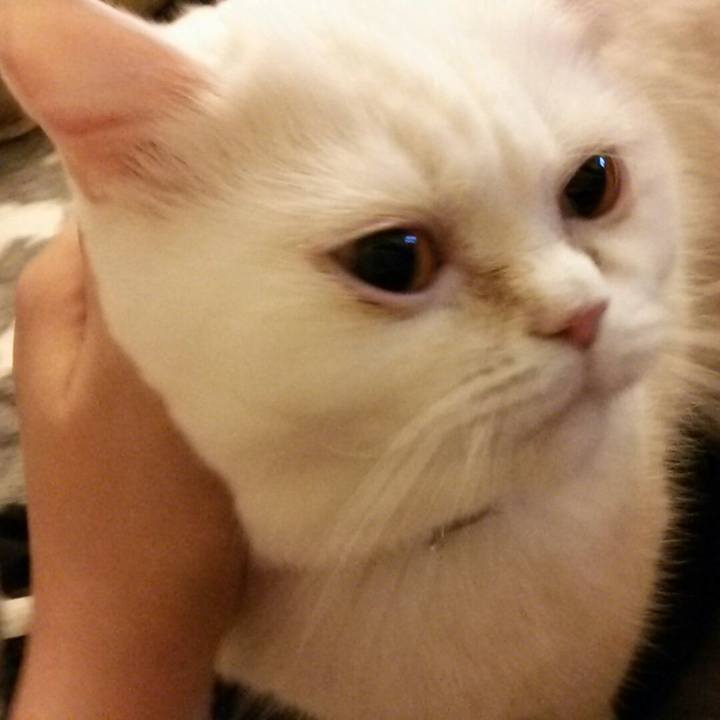 Ead97303 e678 4eda b34b a17cbf266c7e 1522750895366