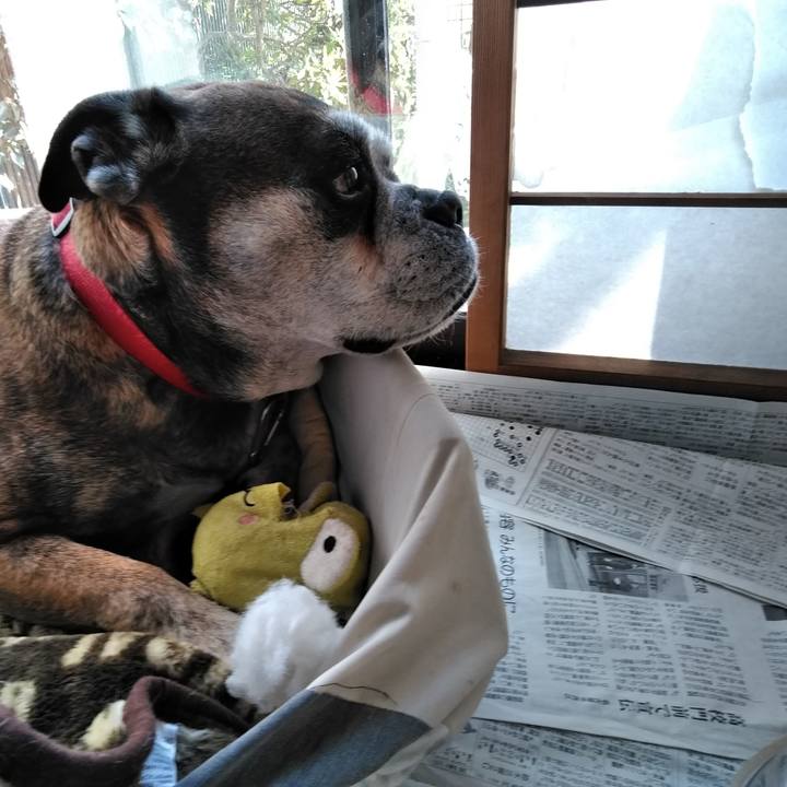 Ead99a1d df05 4d06 9e87 5318881eee57 1552305244058