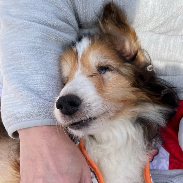 Ead9acb5 e155 4617 a0a9 9df92332d213 1667376371943