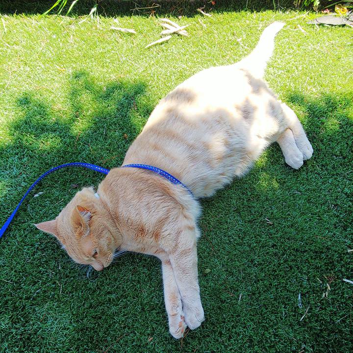 Ead9b0c9 0bc4 404a a8dc 17e5e544a357 1622524540179